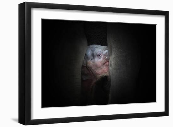 Protected-Antje Wenner-Framed Photographic Print