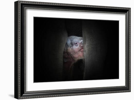 Protected-Antje Wenner-Framed Photographic Print