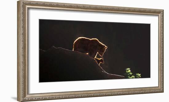 Protection-Xavier Ortega-Framed Giclee Print