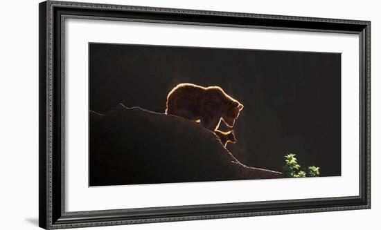 Protection-Xavier Ortega-Framed Giclee Print