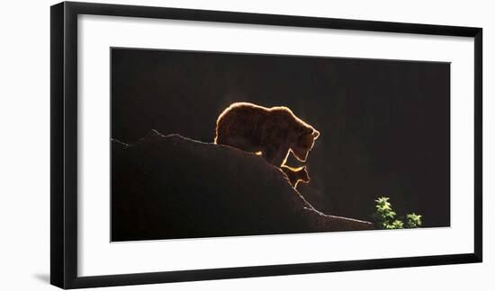 Protection-Xavier Ortega-Framed Giclee Print