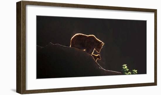 Protection-Xavier Ortega-Framed Giclee Print