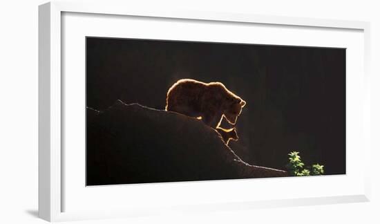 Protection-Xavier Ortega-Framed Giclee Print