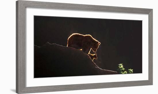 Protection-Xavier Ortega-Framed Giclee Print