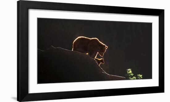 Protection-Xavier Ortega-Framed Giclee Print