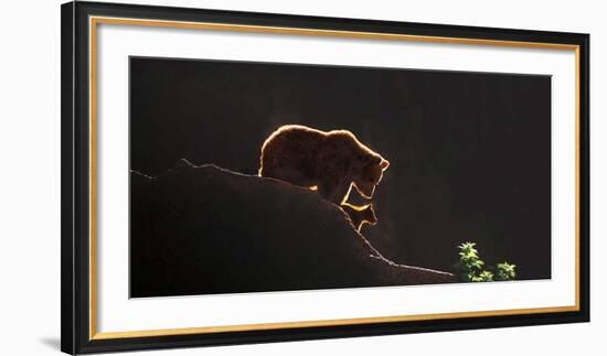 Protection-Xavier Ortega-Framed Giclee Print