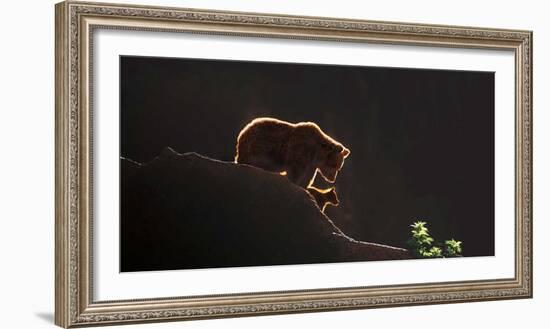 Protection-Xavier Ortega-Framed Art Print