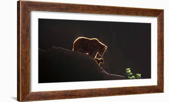 Protection-Xavier Ortega-Framed Art Print