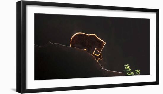 Protection-Xavier Ortega-Framed Art Print