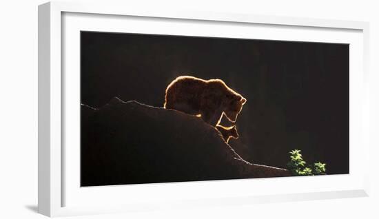 Protection-Xavier Ortega-Framed Art Print