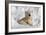 Protective Mother and Cub-Howard Ruby-Framed Premium Photographic Print