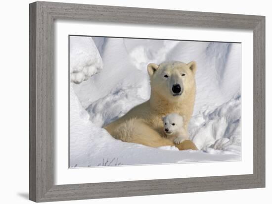 Protective Mother and Cub-Howard Ruby-Framed Photographic Print