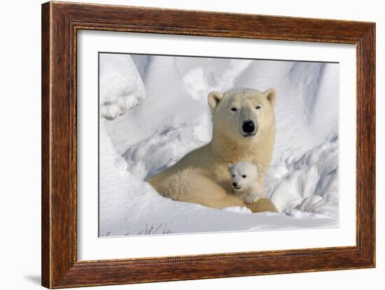 Protective Mother and Cub-Howard Ruby-Framed Photographic Print