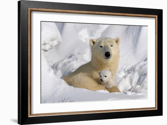 Protective Mother and Cub-Howard Ruby-Framed Photographic Print