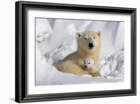 Protective Mother and Cub-Howard Ruby-Framed Photographic Print