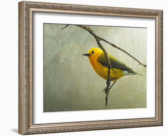 Prothonotary Warbler-Chris Vest-Framed Art Print