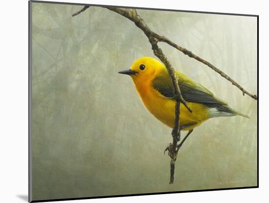 Prothonotary Warbler-Chris Vest-Mounted Art Print