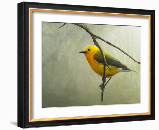 Prothonotary Warbler-Chris Vest-Framed Art Print