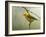 Prothonotary Warbler-Chris Vest-Framed Art Print