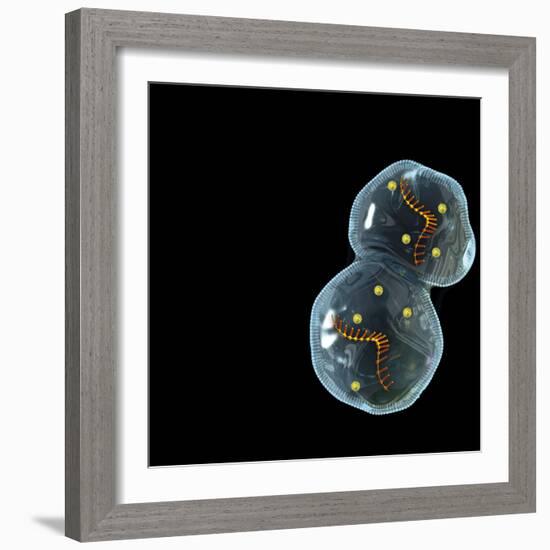 Protocell Proliferation, Artwork-Henning Dalhoff-Framed Premium Photographic Print