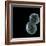 Protocell Proliferation, Artwork-Henning Dalhoff-Framed Premium Photographic Print