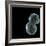 Protocell Proliferation, Artwork-Henning Dalhoff-Framed Premium Photographic Print