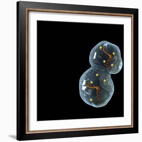 Protocell Proliferation, Artwork-Henning Dalhoff-Framed Premium Photographic Print