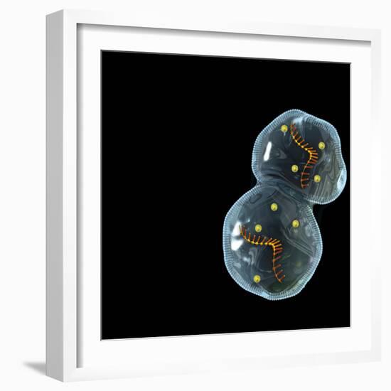 Protocell Proliferation, Artwork-Henning Dalhoff-Framed Premium Photographic Print