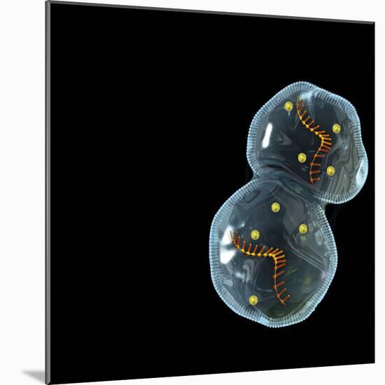 Protocell Proliferation, Artwork-Henning Dalhoff-Mounted Premium Photographic Print