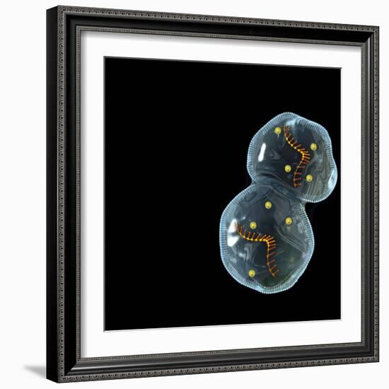 Protocell Proliferation, Artwork-Henning Dalhoff-Framed Premium Photographic Print