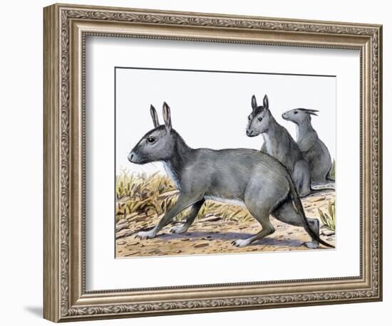 Protypotherium-null-Framed Photographic Print