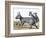 Protypotherium-null-Framed Photographic Print