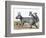 Protypotherium-null-Framed Photographic Print