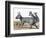 Protypotherium-null-Framed Photographic Print