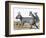 Protypotherium-null-Framed Photographic Print