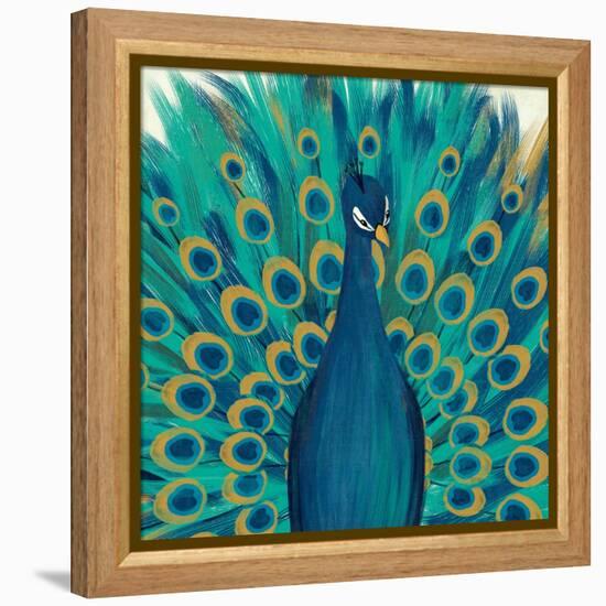 Proud as a Peacock I-Veronique Charron-Framed Stretched Canvas