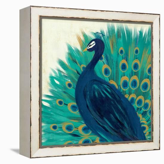 Proud as a Peacock II-Veronique Charron-Framed Stretched Canvas