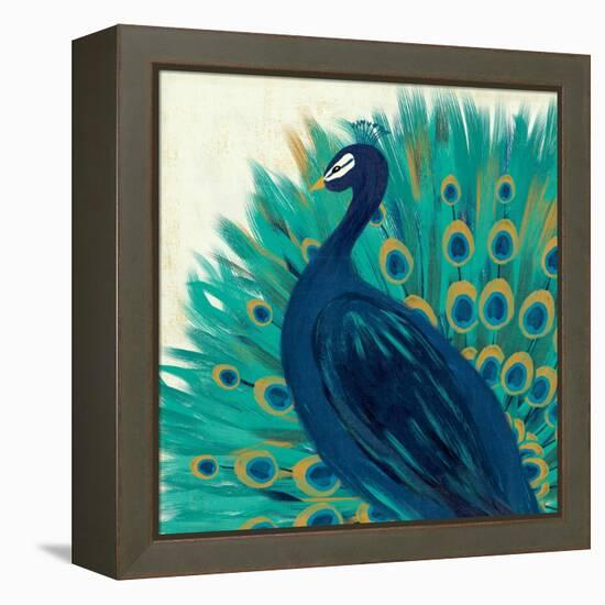 Proud as a Peacock II-Veronique Charron-Framed Stretched Canvas