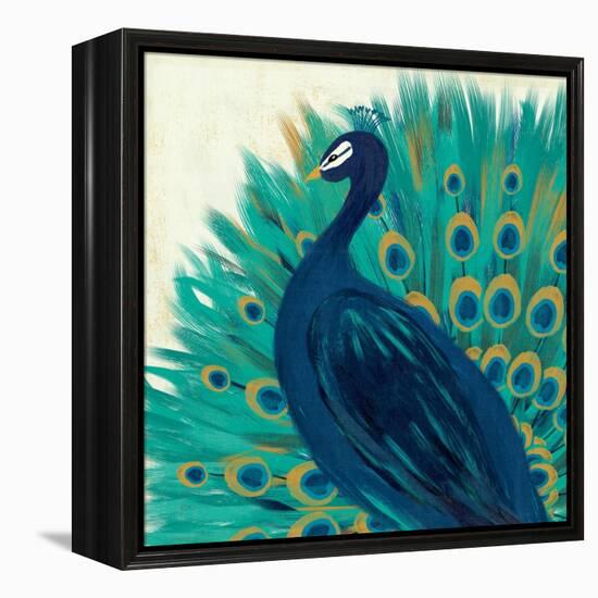 Proud as a Peacock II-Veronique Charron-Framed Stretched Canvas