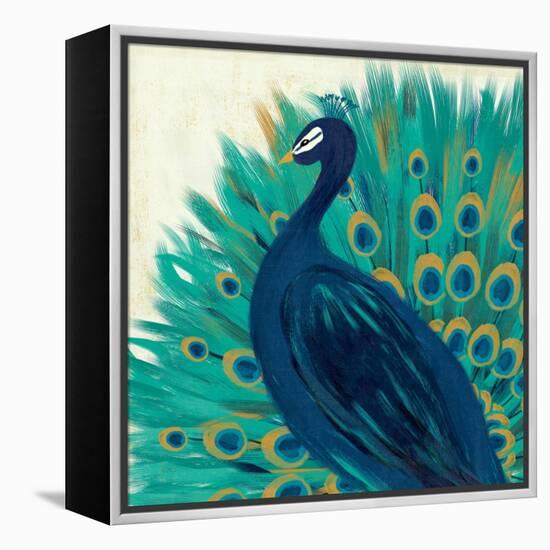 Proud as a Peacock II-Veronique Charron-Framed Stretched Canvas