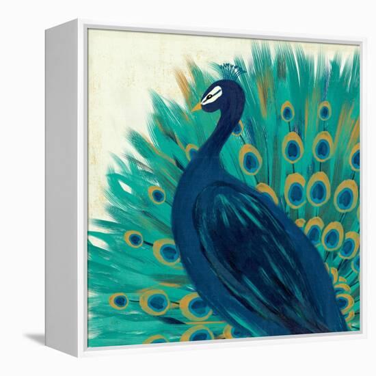 Proud as a Peacock II-Veronique Charron-Framed Stretched Canvas