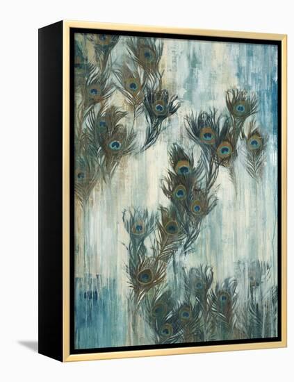 Proud as a Peacock-Liz Jardine-Framed Stretched Canvas