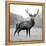 Proud Deer-null-Framed Premier Image Canvas