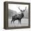 Proud Deer-null-Framed Premier Image Canvas