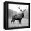 Proud Deer-null-Framed Premier Image Canvas