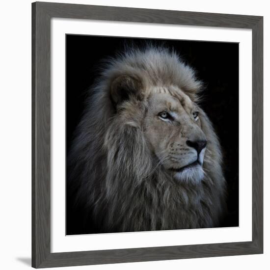 Proud Lion-Louise Wolbers-Framed Giclee Print