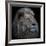 Proud Lion-Louise Wolbers-Framed Giclee Print