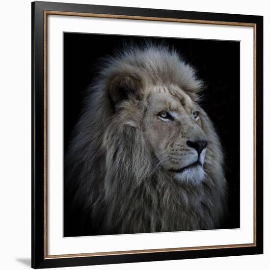 Proud Lion-Louise Wolbers-Framed Giclee Print