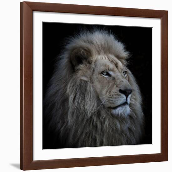 Proud Lion-Louise Wolbers-Framed Giclee Print