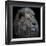 Proud Lion-Louise Wolbers-Framed Giclee Print